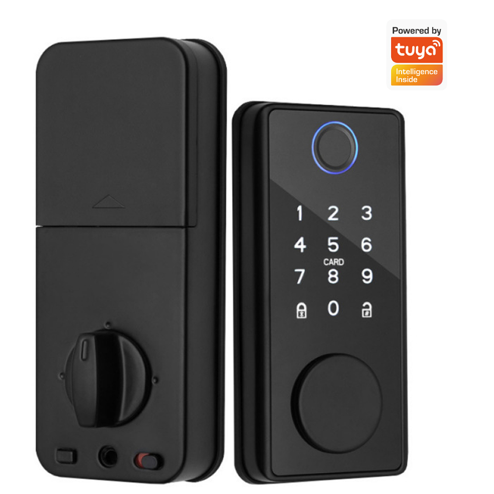 Smart Home Lock - Ondersteunt Tuya-app, afstandsbediening, deurvergrendeling met sleutels,