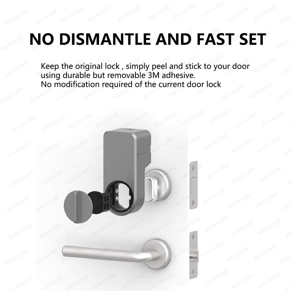 RAYKUBE A1 Pro Tuya BEL Smart  - Smart Home Lock recensie en prijs