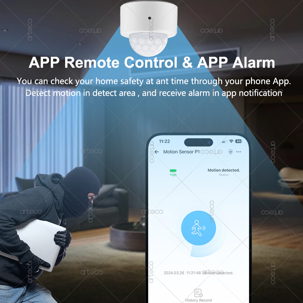 Ewelink Zigbee PIR-bewegingsse - Smart Home Blog recensie en prijs