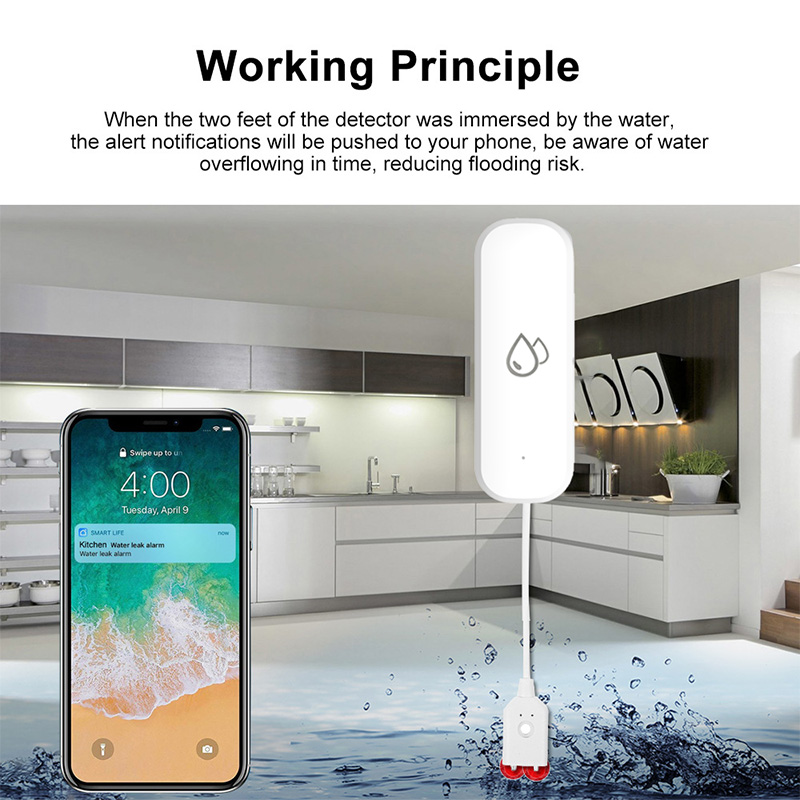 Tuya WiFi Waterlekkage Alarmse - Wifi Water Leak Detector recensie en prijs