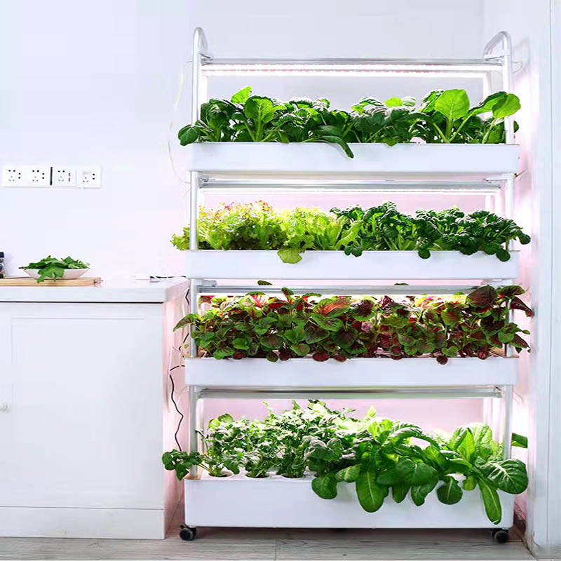 ydroponic plantsysteem Smart H - Smart Home Ac recensie en prijs