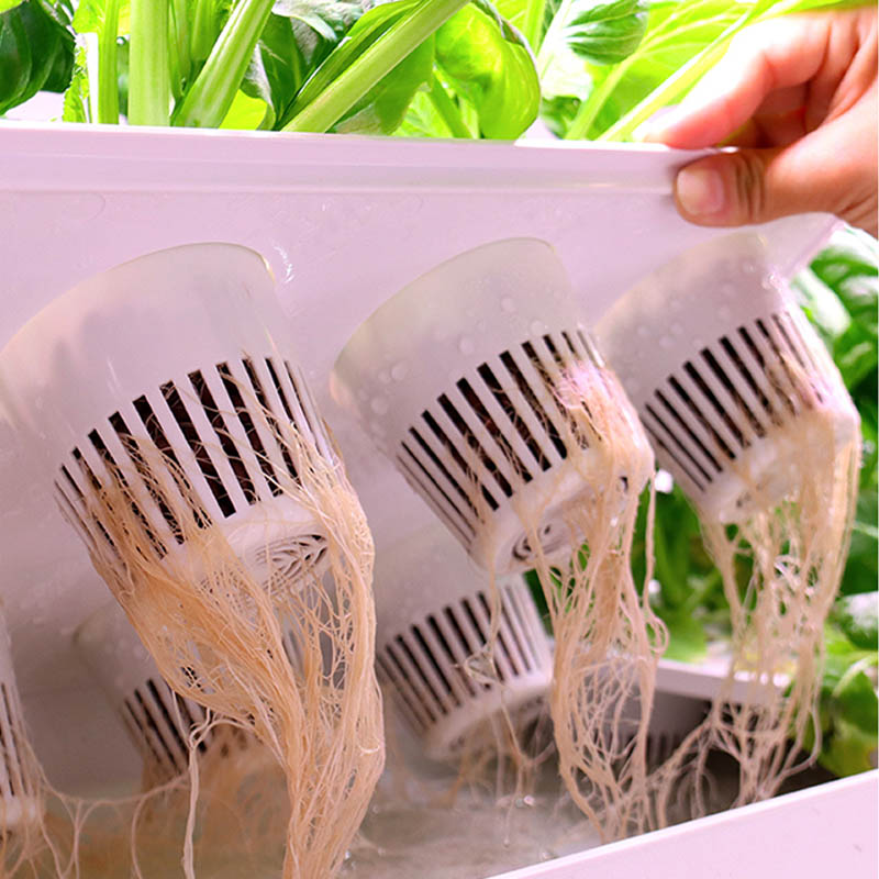 ydroponic plantsysteem Smart H - Smart Home Ac recensie en prijs