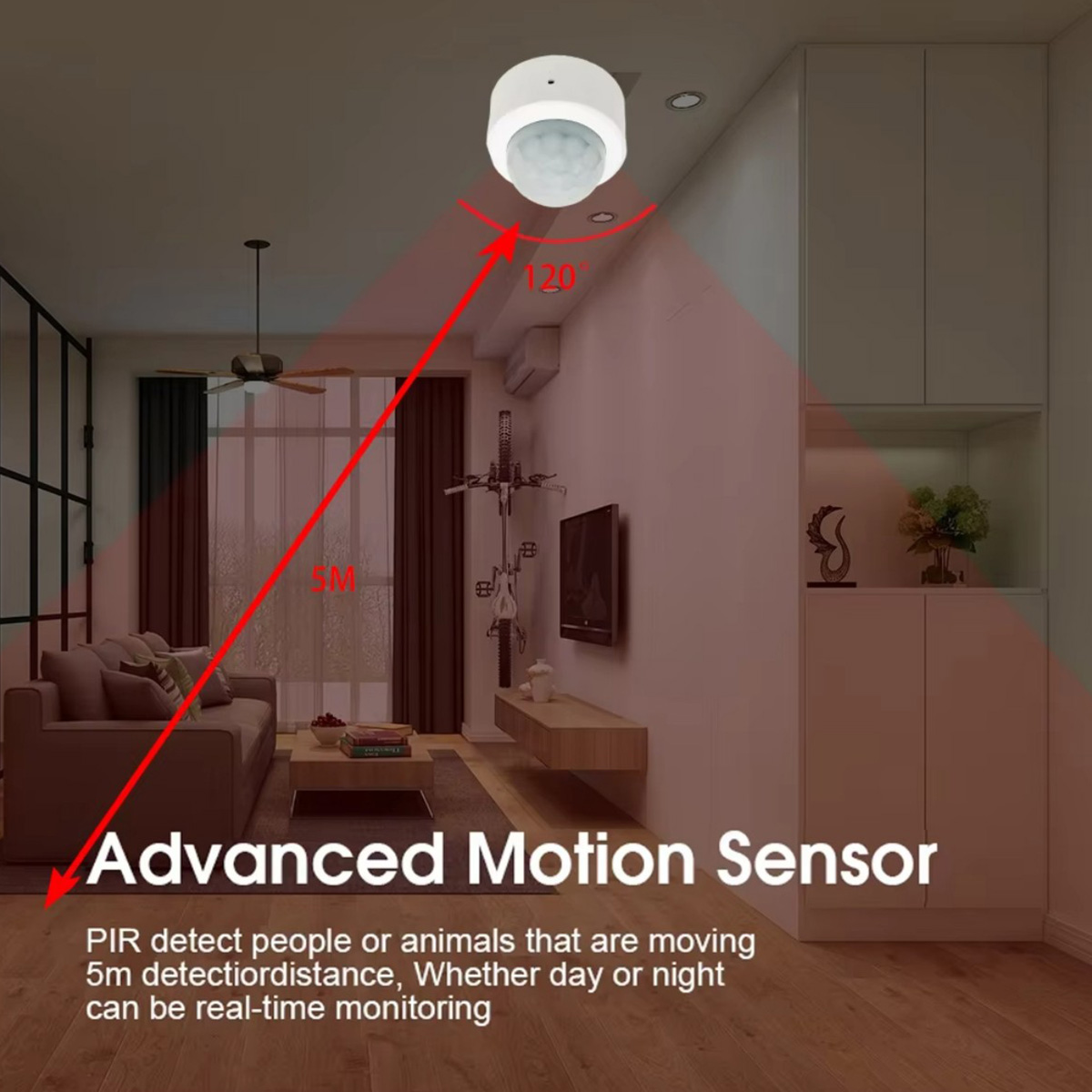 Zigbee3.0 Mini PIR Menselijke  - Smart Home Blog recensie en prijs